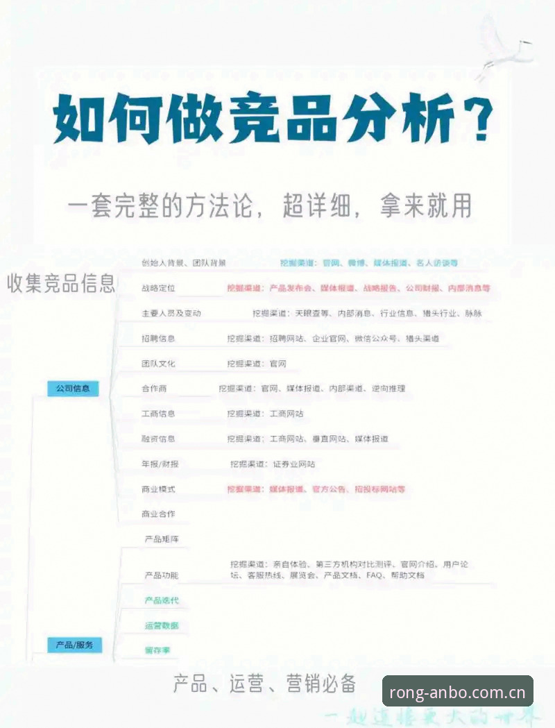安博从容链接世界竞品对比分析推荐 安博体育平台从容链接世界竞品对比分析操作教程:从v2.4.3到N24D的实用指南